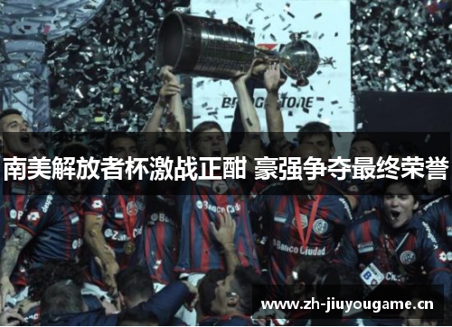 南美解放者杯激战正酣 豪强争夺最终荣誉 南美解放者杯激战正酣 豪强争夺最终荣誉